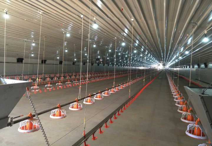 Çiftlik ve Ticari Alanlar İçin Dayanıklı Çelik Çatılar